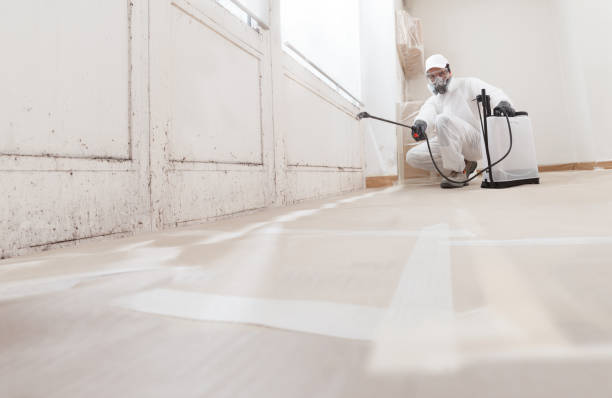 24/7 Emergency Mold Remediation experts in Cranbury, NJ