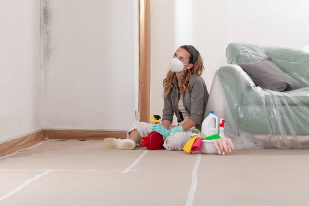 Reliable Mold Remediation contractor in Cranbury, NJ by Cheap Mold Removal